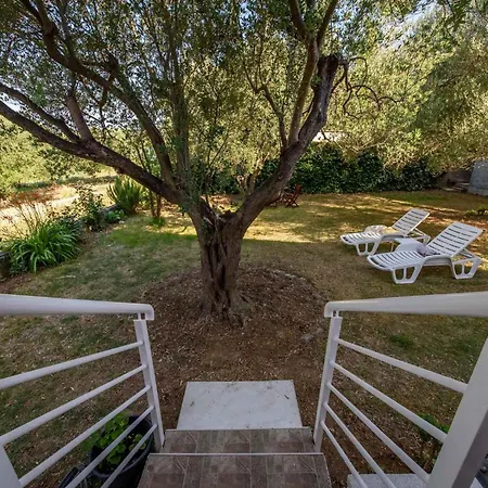 12 Apartman